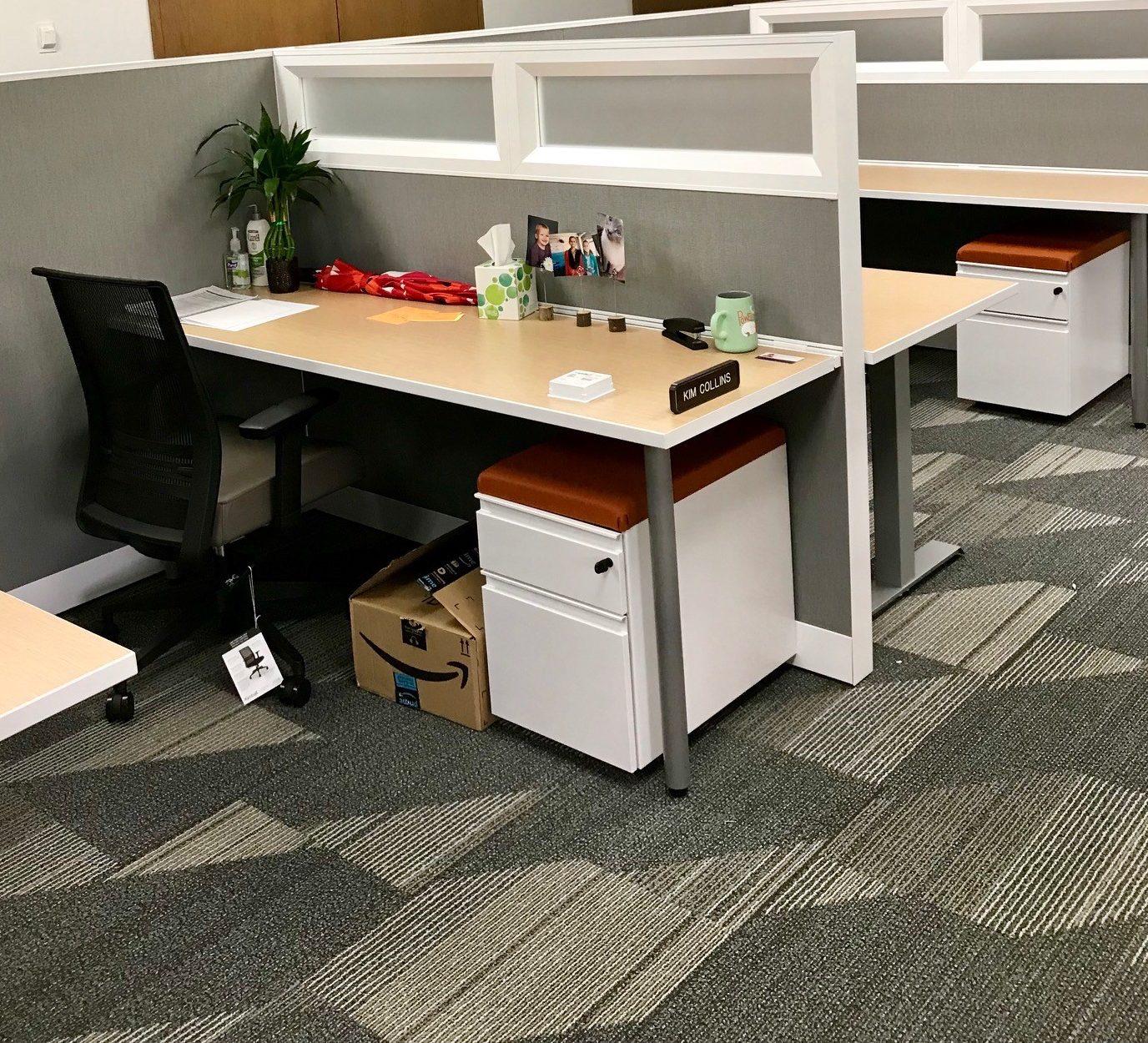biotech setup by Workplace Logic